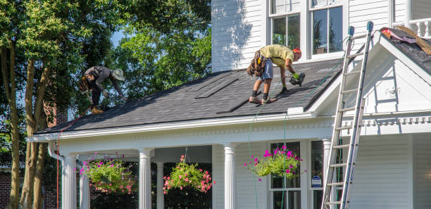 Roof Gutter Cleaning in Safety Harbor, FL